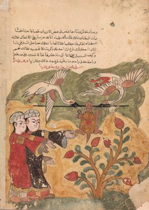 Kaplumbağa