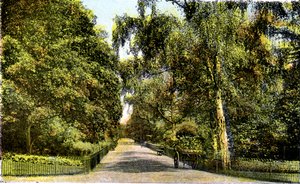 The Flower Walk, Kensington Gardens, Londra, 20th Century by Unbekannt