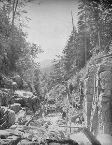 Flume, Frankonya Beyaz Dağlar, N.H., c1897. by Unbekannt