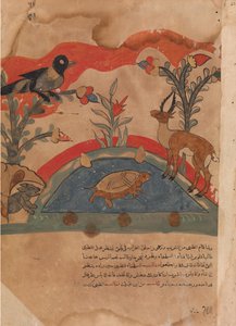 Ceylan Karga, Fare ve Kaplumbağa ile Dost Olur..., 18. yüzyıl. by Unbekannt