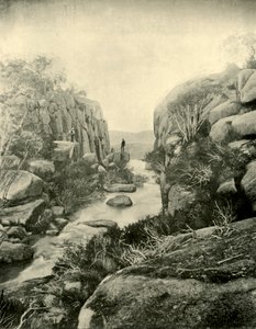 Gorge, Buffalo Şelalesi, Victoria Alpleri, 1901. by Unbekannt