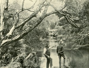 Fırlatma Yeri, Yukarı Yarra, Victoria, 1901. by Unbekannt