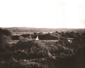 Yeni Orman, Hampshire, 1894. by Unbekannt