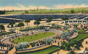 Santa Anita