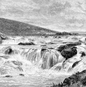 Nilgiris