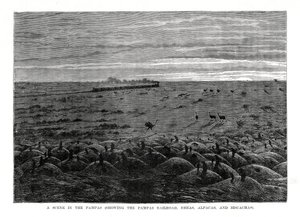Pampa Demiryolu, Güney Amerika ovaları, 1877 by Unbekannt