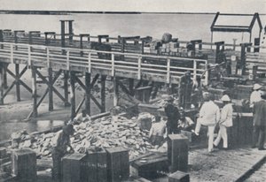 İnci Balıkçılık Endüstrisi - Paketleme Kabuğu, 1923. by Unbekannt
