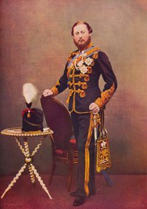 10 Hussars Albay olarak Galler Prensi, c1865 1910 by Unbekannt