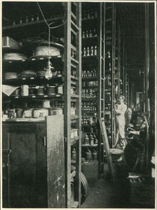 Bilinen Her Maddenin Örnekleriyle Edison Laboratuvarının Rafları, 1902. by Unbekannt