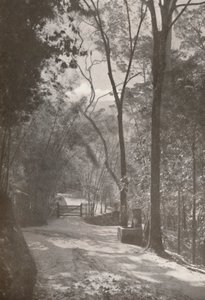 Tijuca'nın Ruhu, 1914 by Unbekannt