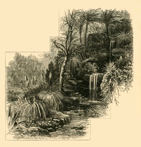 Tropikal Bahçeler, Battersea Parkı, c1878. by Unbekannt