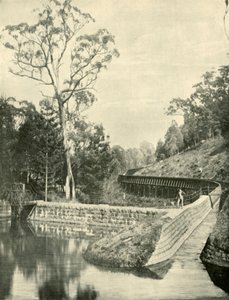 Savak ve Fluming, Kirks Rezervuarı, 1901. by Unbekannt