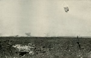 Yünlü Ayı., 1919. by Unbekannt