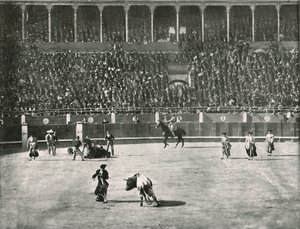 Bullring