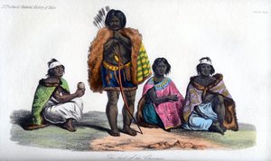 Charruas
