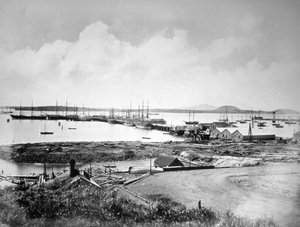 Liman, Auckland, Yeni Zelanda, c1870-1880 by Unbekannt