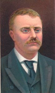 Theodore Roosevelt 1858-1919, Amerika Birleşik Devletleri