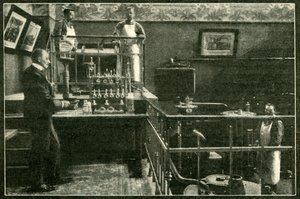 Çarın Egemenliklerinde Zehir Korkusu Yok, 1901 by Unbekannt