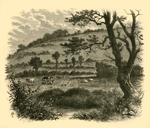 Devedikeni, 1898. by Unbekannt