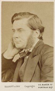 Thomas Henry Huxley, İngiliz biyolog, c1865-1886 by Unbekannt