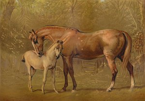 Safkan Kısrak ve Tay, c1879. by Unbekannt
