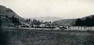 Mısırın Eski Bir Şekilde Harmanlanması, 1911 by Unbekannt