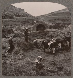 Jacobs Well, c1900 yakınlarında harman tahılı by Unbekannt