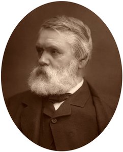 Tom Taylor, oyun yazarı ve eleştirmen, 1881 by Unbekannt