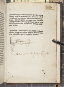 Tractat[us] sancti Augustini, Hippo