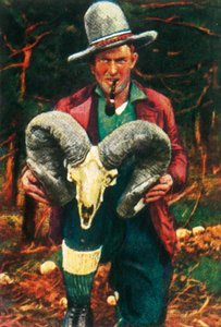 Bighorn koyun kafatası tutan kupa avcısı, c1928. by Unbekannt