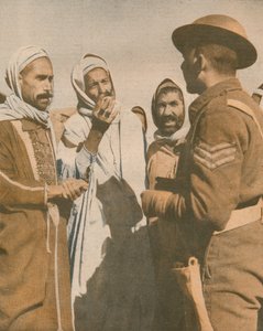 Tunuslu Araplar, Chaouach