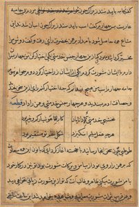 Tuti-Nama (Bir Papağan Masalları) by Unbekannt Unbekannt