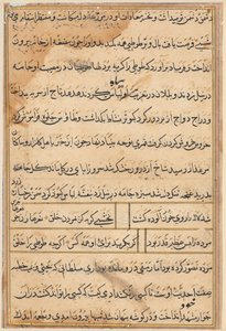 Tuti-Nama (Bir Papağan Masalları) by Unbekannt Unbekannt