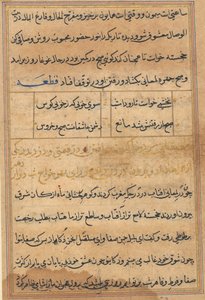 Tuti-Nama (Bir Papağan Masalları) by Unbekannt Unbekannt