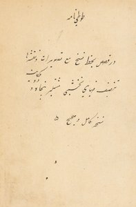 Bir Papağanın Tuti-Nama Masalları, c. 1560. by Unbekannt