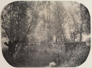 İsimsiz Köpekli Manzara, c. 1910. by Unbekannt