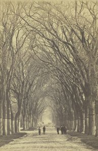 İsimsiz ağaçlar caddesi, 1840-1900. by Unbekannt