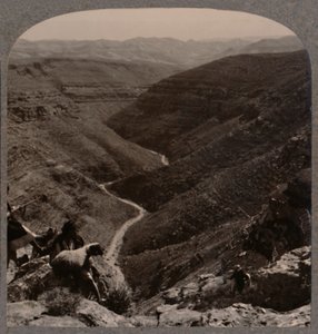 Arno Vadisi, çoban ve koyun ön planda, c1900 by Unbekannt
