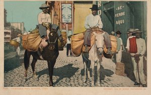 Sebze Adamlar, Havana, Küba, 1904 by Unbekannt