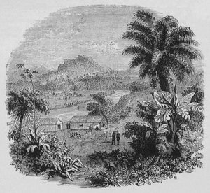 Cayenne'de görünüm, c1880 by Unbekannt