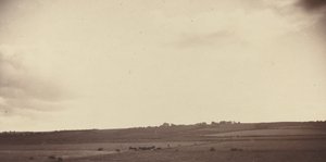İneklerle Tarlaların Görünümü, 1850
