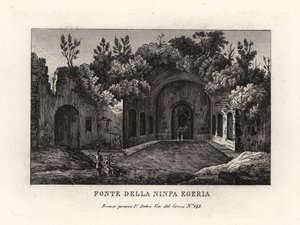 Perisi Egeria, Egeria nympheum, Ninfeo d