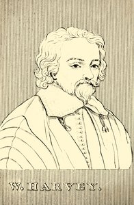 W. Harvey, 1578-1657, 1830. by Unbekannt