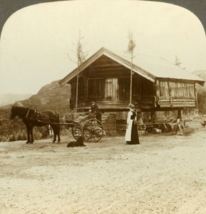 Bolkesjo, Norveç, c1905 yakınlarındaki yolda yolcuları bekliyorum. by Unbekannt