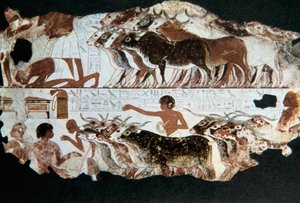 Nebarunun mezarından duvar resmi, Thebes, Mısır, MÖ 1350 by Unbekannt