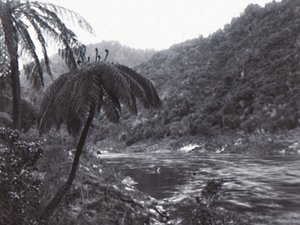 Wanganui Nehri, 19. yüzyılın sonlarında ve 20. yüzyılın başlarında. by Unbekannt