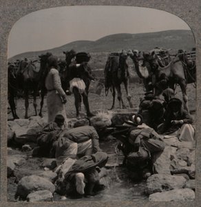 Jacobs Well, c1900 de deve sulama by Unbekannt