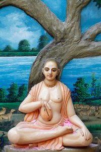Sri Caitanya Mahaprabhu, Vrindavana