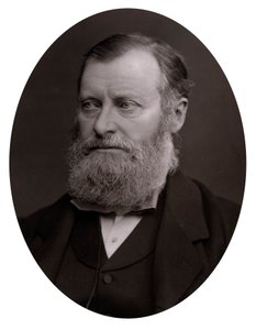 William Edward Forster 1818-1886, 19. yüzyılın sonları by Unbekannt