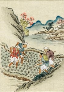 Bir çeltik tarlasında pirinç yetiştiren işçiler, 19. yüzyıl by Unbekannt